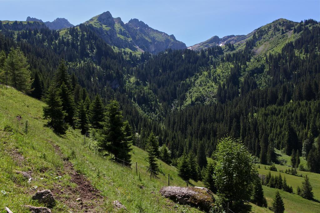 Le Relais Alpin