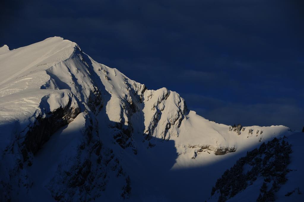 Le Relais Alpin Hotel 3*