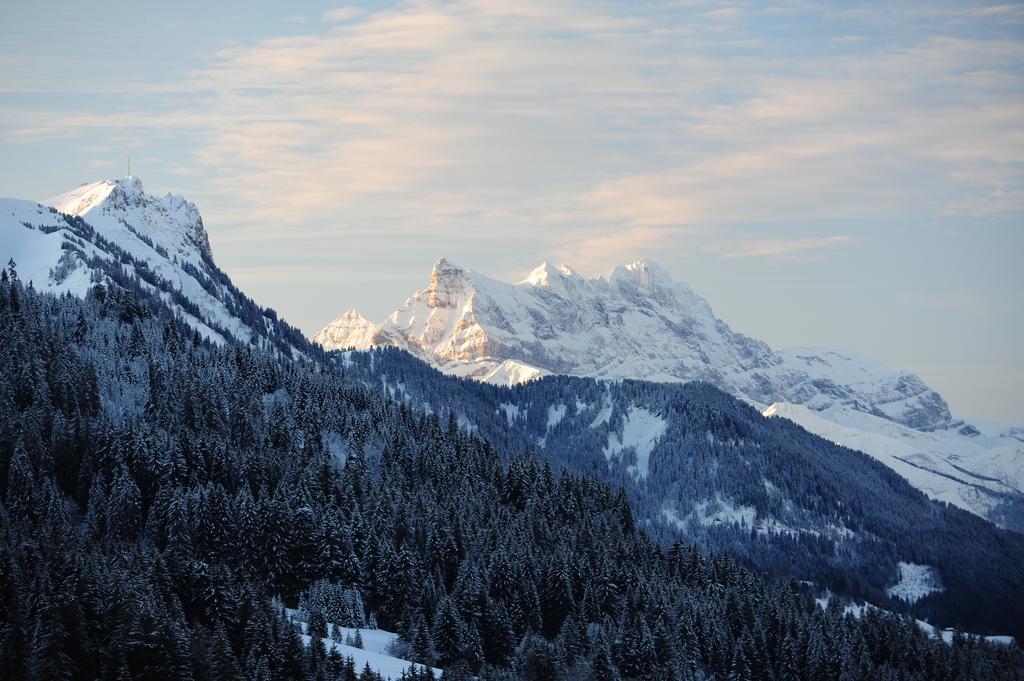 Hotel Le Relais Alpin